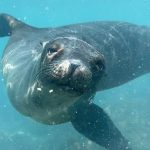 Galápagos Part 1 – San Cristóbal