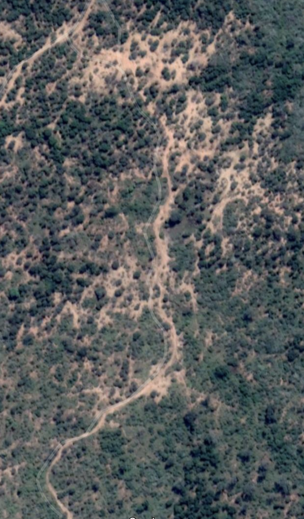 Road to Sabi Sands Game Reserve