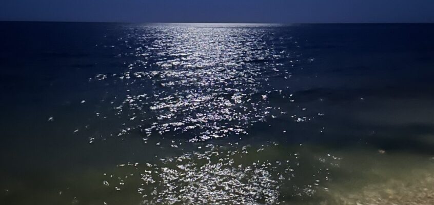 Spain Part 3 – Basking in Barcelona