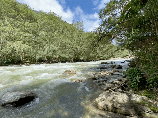 Cayambe-Coca Ecological Reserve