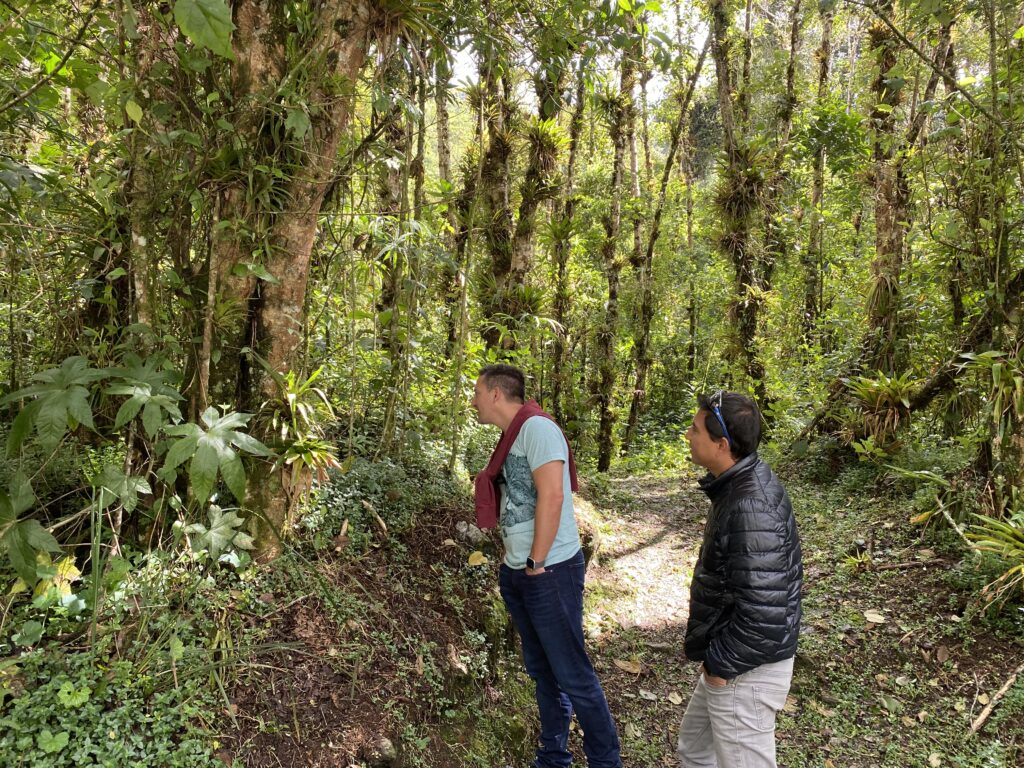 Cayambe-Coca Ecological Reserve