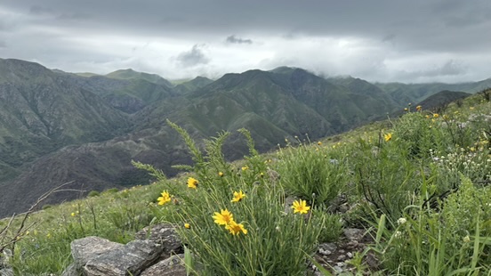 Hiking Cerro Las Gemelas