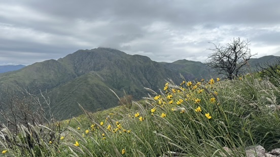 Hiking Cerro Las Gemelas