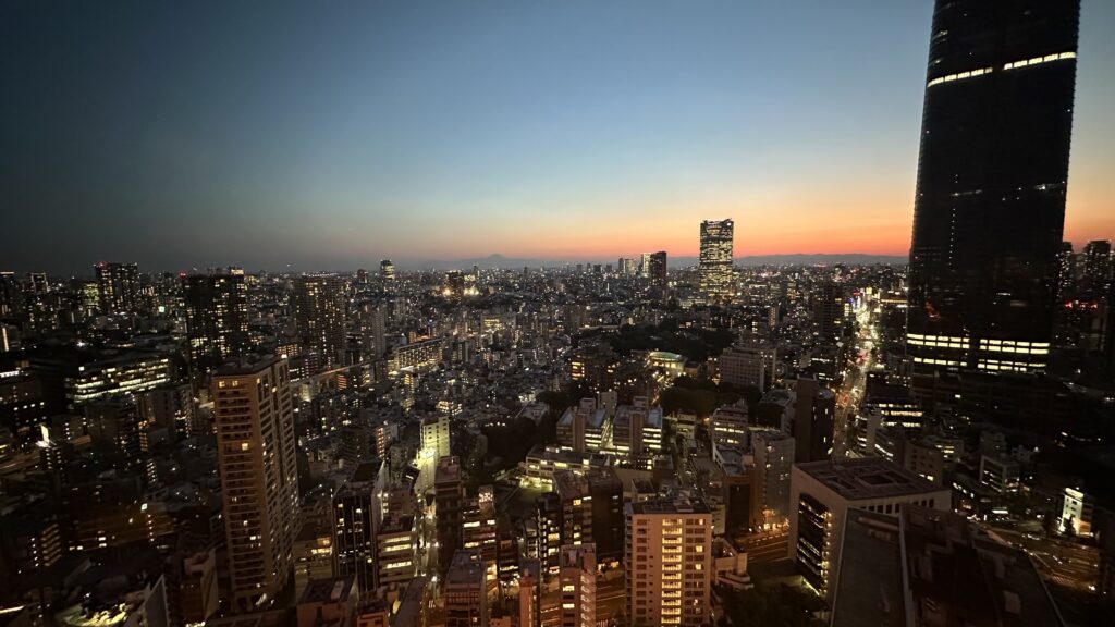 Tokyo Tower Views