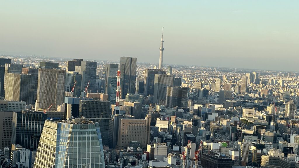 Tokyo Tower Views