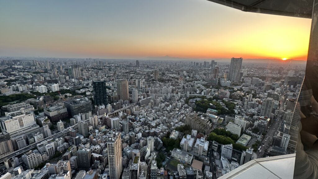 Tokyo Tower Views