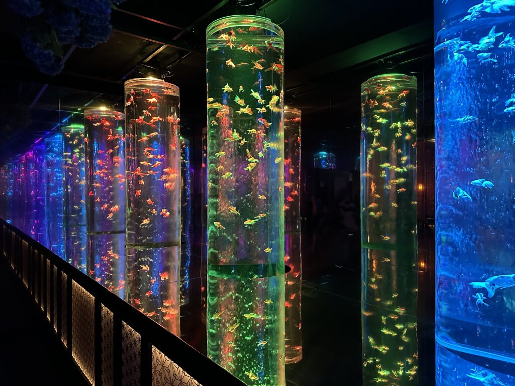 Art Aquarium Ginza