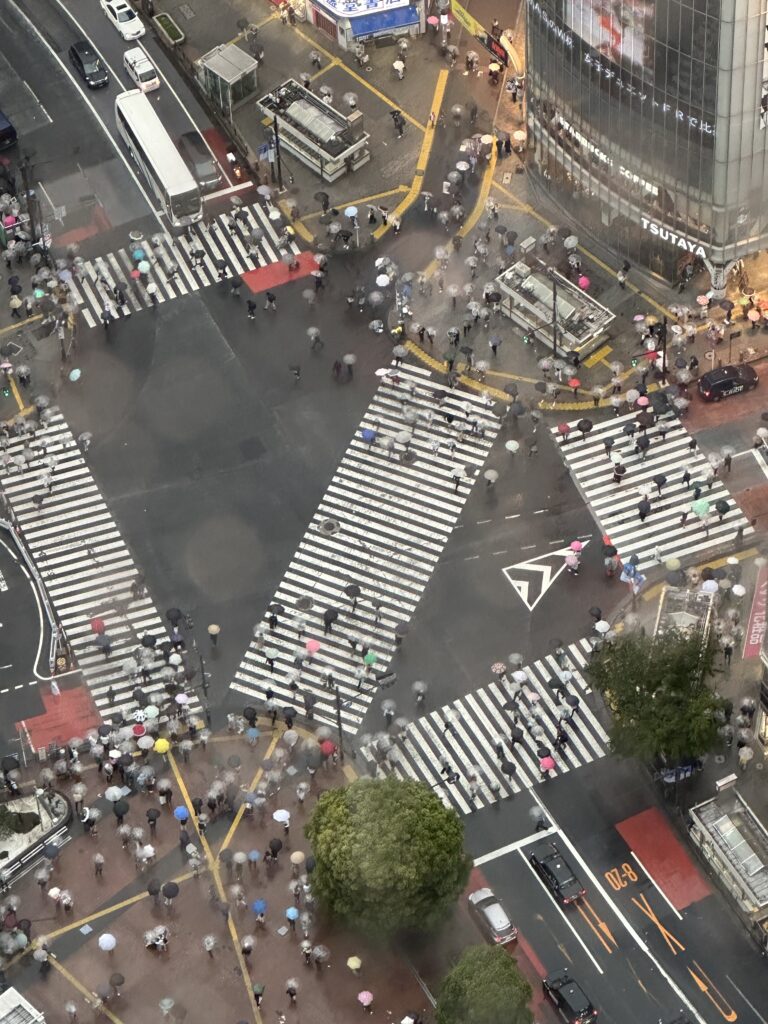 Views from Shibuya Sky