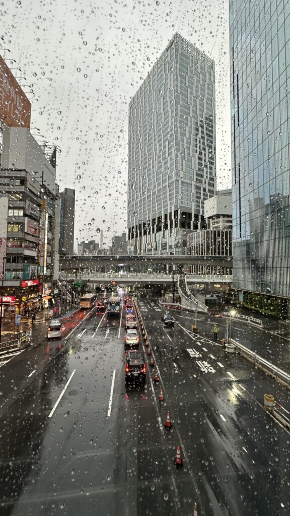 Views from Shibuya Sky