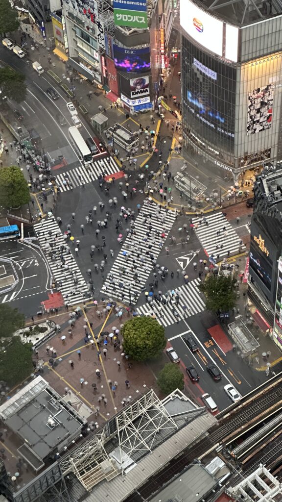 Views from Shibuya Sky