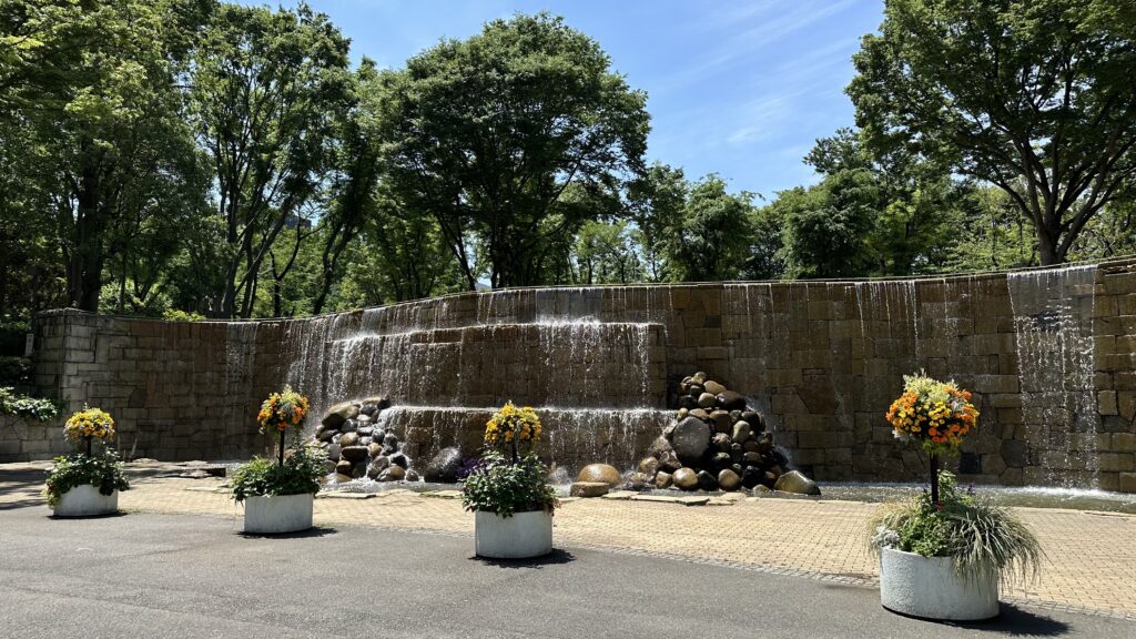 Shiny and clean everywhere