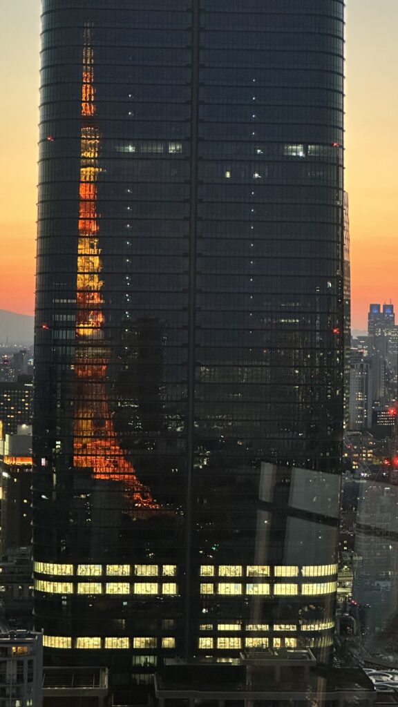 Tokyo Tower Views