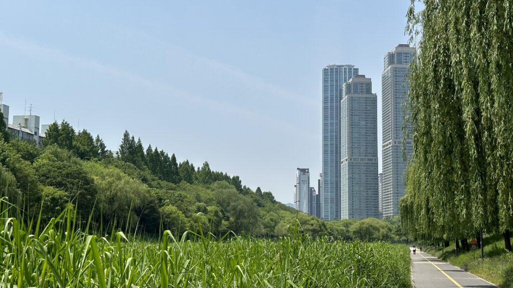 Yangjaecheon Stream Trail