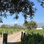 Argentina Part 1 – Merry in Mendoza