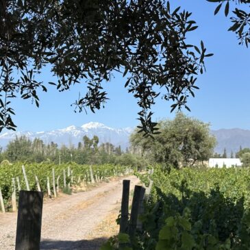 Argentina Part 1 – Merry in Mendoza
