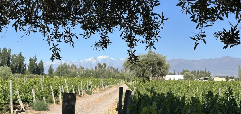 Argentina Part 1 – Merry in Mendoza